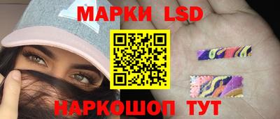 СК Дубна