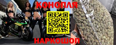 СК Дубна