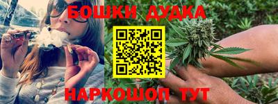 СК Дубна