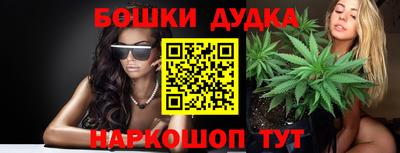 СК Дубна