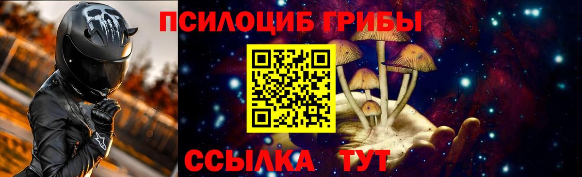 Иркутск  Псилоцибиновые грибы GOLDEN TEACHER  Вход с VPN 
